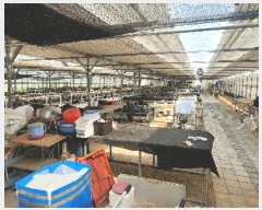  2024Ÿ��37079  ����