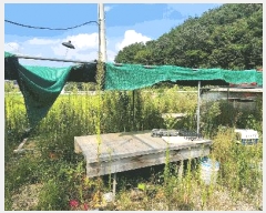  2024Ÿ��37079  ����