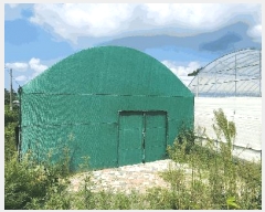  2024Ÿ��37079  ����