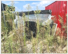  2024Ÿ��37079  ����