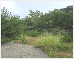  2024Ÿ37277 泲 û ܼ û踮 72-32      (Ӿ)