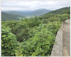  2024Ÿ37277 泲 û ܼ û踮 72-32      (Ӿ)