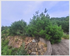  2024Ÿ37277 泲 û ܼ û踮 72-32      (Ӿ)