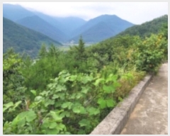  2024Ÿ37277 泲 û ܼ û踮 72-32      (Ӿ)