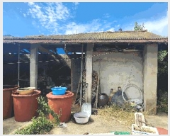  2024Ÿ37543 泲 ر   302      ()