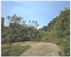  2024Ÿ37710 泲 ֽ 絿 686       (1)