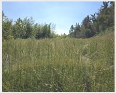  2024Ÿ37710 泲 ֽ 絿 686       (1)