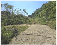  2024Ÿ37710 泲 ֽ 絿 686       (1)