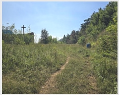  2024Ÿ37710 泲 ֽ 絿 686       (1)