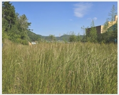  2024Ÿ37710 泲 ֽ 絿 686       (1)