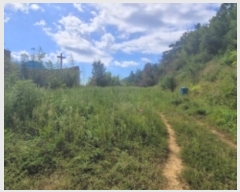  2024Ÿ37710 泲 ֽ 絿 686       (1)