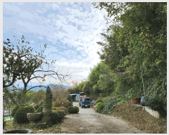  2024Ÿ38881 泲 ϵ ݼ ׸ 569      (1)