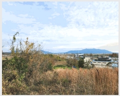  2024Ÿ38881 泲 ϵ ݼ ׸ 569      (1)