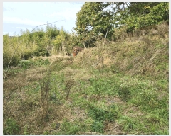  2024Ÿ38881 泲 ϵ ݼ ׸ 569      (1)