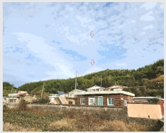  2024Ÿ38881 泲 ϵ ݼ ׸ 569      (1)