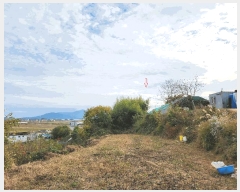  2024Ÿ38881 泲 ϵ ݼ ׸ 569      (1)