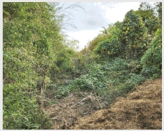  2024Ÿ38881 泲 ϵ ݼ ׸ 569      (1)