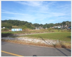  2024Ÿ39020 泲 ر õ  477-11      ()