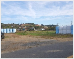  2024Ÿ39020 泲 ر õ  477-11      ()