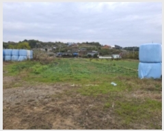  2024Ÿ39020 泲 ر õ  477-11      ()