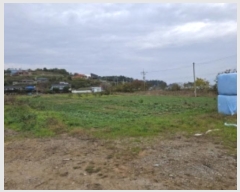  2024Ÿ39020 泲 ر õ  477-11      ()