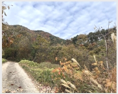  2024Ÿ��39143 �泲 ��û�� ����� ������ ��52-4      ����(�Ӿ�)���