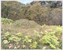  2024Ÿ��39143 �泲 ��û�� ����� ������ ��52-4      ����(�Ӿ�)���