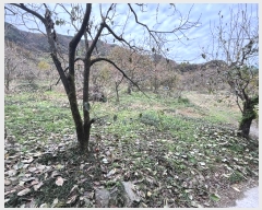  2024Ÿ��39143 �泲 ��û�� ����� ������ ��52-4      ����(�Ӿ�)���