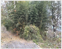  2024Ÿ��39143 �泲 ��û�� ����� ������ ��52-4      ����(�Ӿ�)���