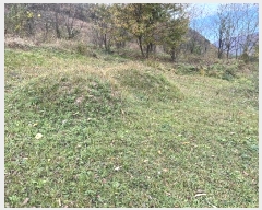  2024Ÿ��39143 �泲 ��û�� ����� ������ ��52-4      ����(�Ӿ�)���