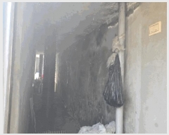  2024Ÿ39273 泲 ֽ ݻ 渮 652      ð