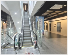  2024Ÿ39556 泲 ֽ 127 30, 1116ȣ (湫,帲ݽ)     ,繫ǰ