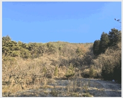  2024Ÿ��39839  �Ӿ߰��