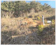  2024Ÿ��39839  �Ӿ߰��