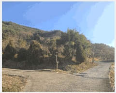  2024Ÿ��39839  �Ӿ߰��