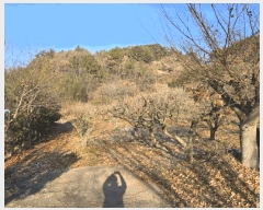  2024Ÿ��39839  �Ӿ߰��