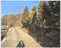  2024Ÿ��39839  �Ӿ߰��