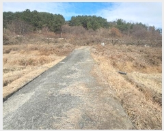  2024Ÿ40211 泲 ϵ   202-1      ()