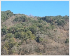  2024Ÿ40211 泲 ϵ   202-1      ()