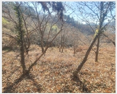  2024Ÿ40211 泲 ϵ   202-1      ()