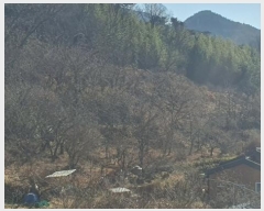  2024Ÿ40211 泲 ϵ   202-1      ()