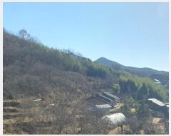  2024Ÿ40211 泲 ϵ   202-1      ()