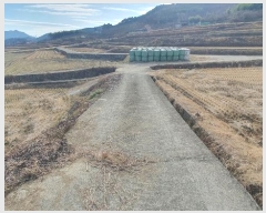  2024Ÿ40211 泲 ϵ   202-1      ()