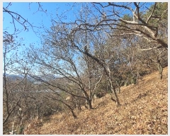  2024Ÿ40211 泲 ϵ   202-1      ()