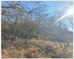  2024Ÿ40211 泲 ϵ   202-1      ()