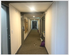  2024Ÿ107 泲 ֽ õ 164, 111101ȣ (湫,½並1)     ܵ(ȣ)