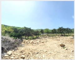  2024Ÿ��1513  �Ӿ߰��