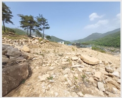  2024Ÿ��1513  �Ӿ߰��