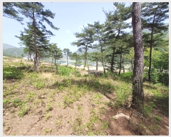  2024Ÿ��1513  �Ӿ߰��