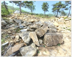  2024Ÿ��1513  �Ӿ߰��